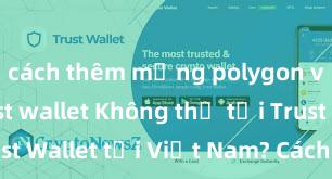 cách thêm mạng polygon vào ví trust wallet Không thể tải Trust Wallet tại Việt Nam? Cách khắc phục